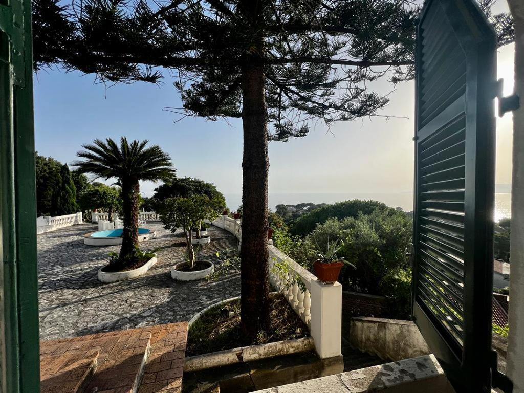 Appartamento In Villa Venezuela Piano Terra Porto di Maratea Kültér fotó