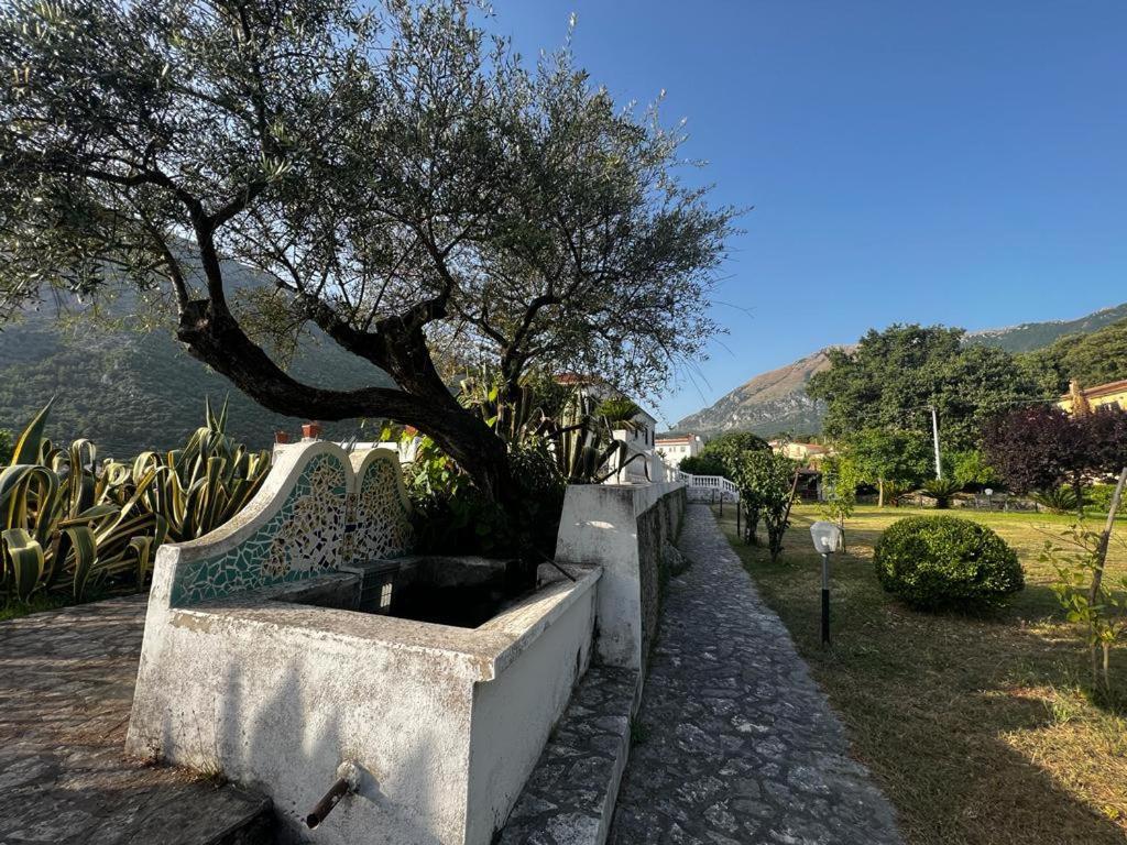 Appartamento In Villa Venezuela Piano Terra Porto di Maratea Kültér fotó